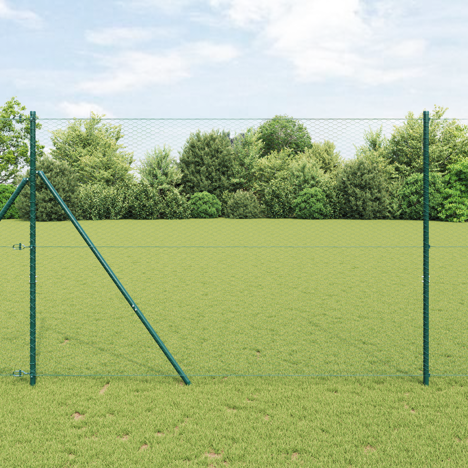 Hexagonzaun Grün 1.6x50 m Stahl