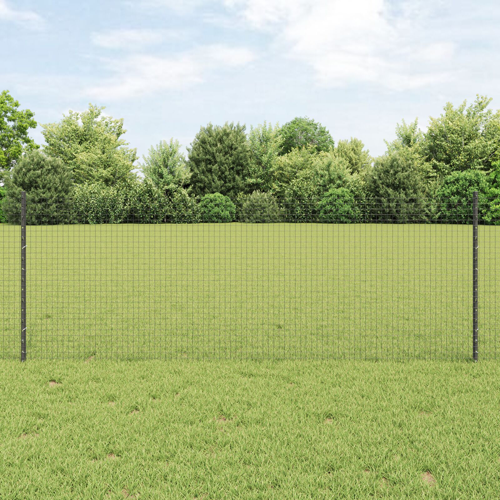 Verschweißter Drahtzaun mit 5 U-Stützen Grau 0.8x10 m Stahl