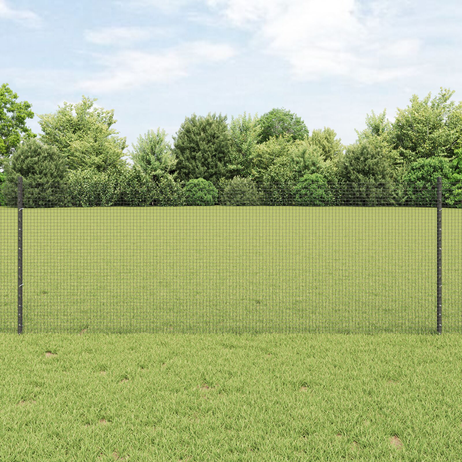 Geschweißter Drahtzaun mit 5 U-Pfosten Grau 0.8x10 m Stahl