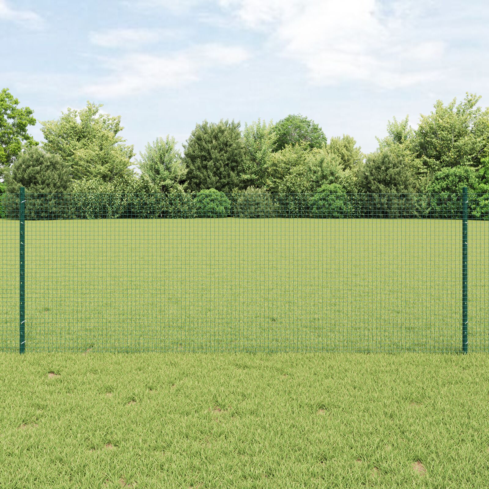 Schweißdrahtzaun mit 5 U-Posten Grün 0.8x10 m Stahl