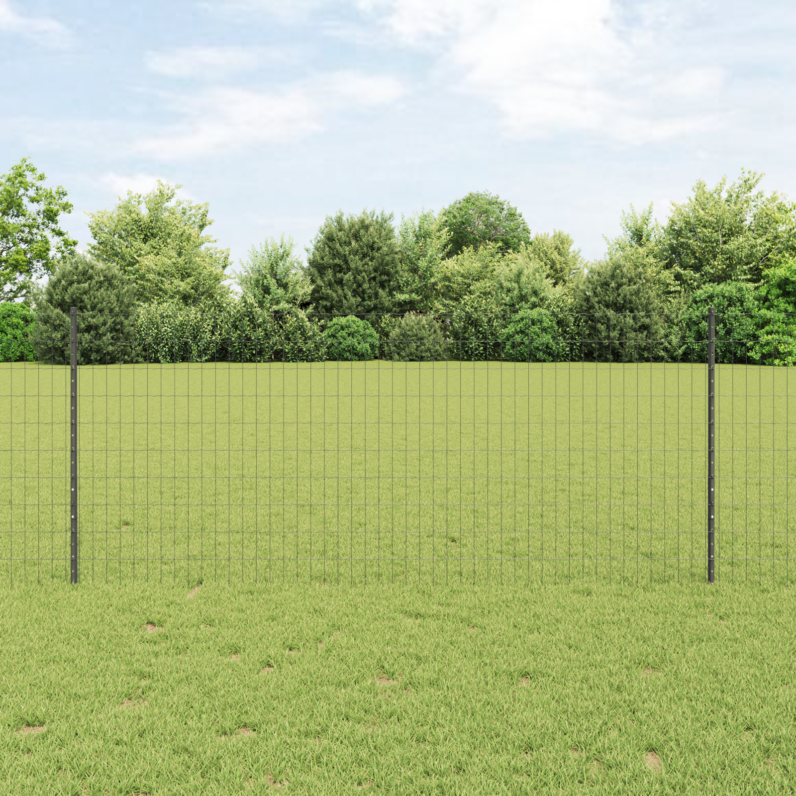 Euro Zaun mit 22 U-Pfosten Grau 1x25 m Stahl