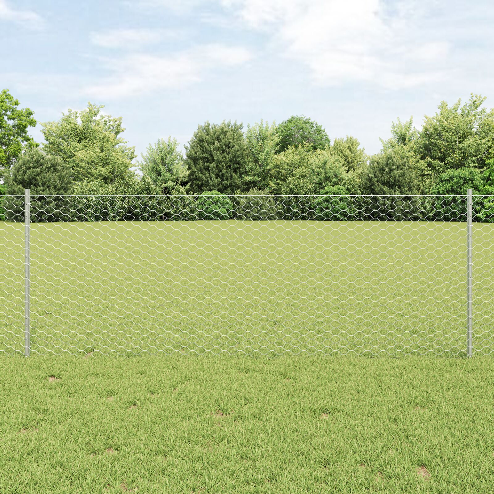 Zaunpfosten 11 Stk U-Kanal 80 cm verzinkter Stahl, Hexagonzaun 0,8x50 m verzinkter Stahl
