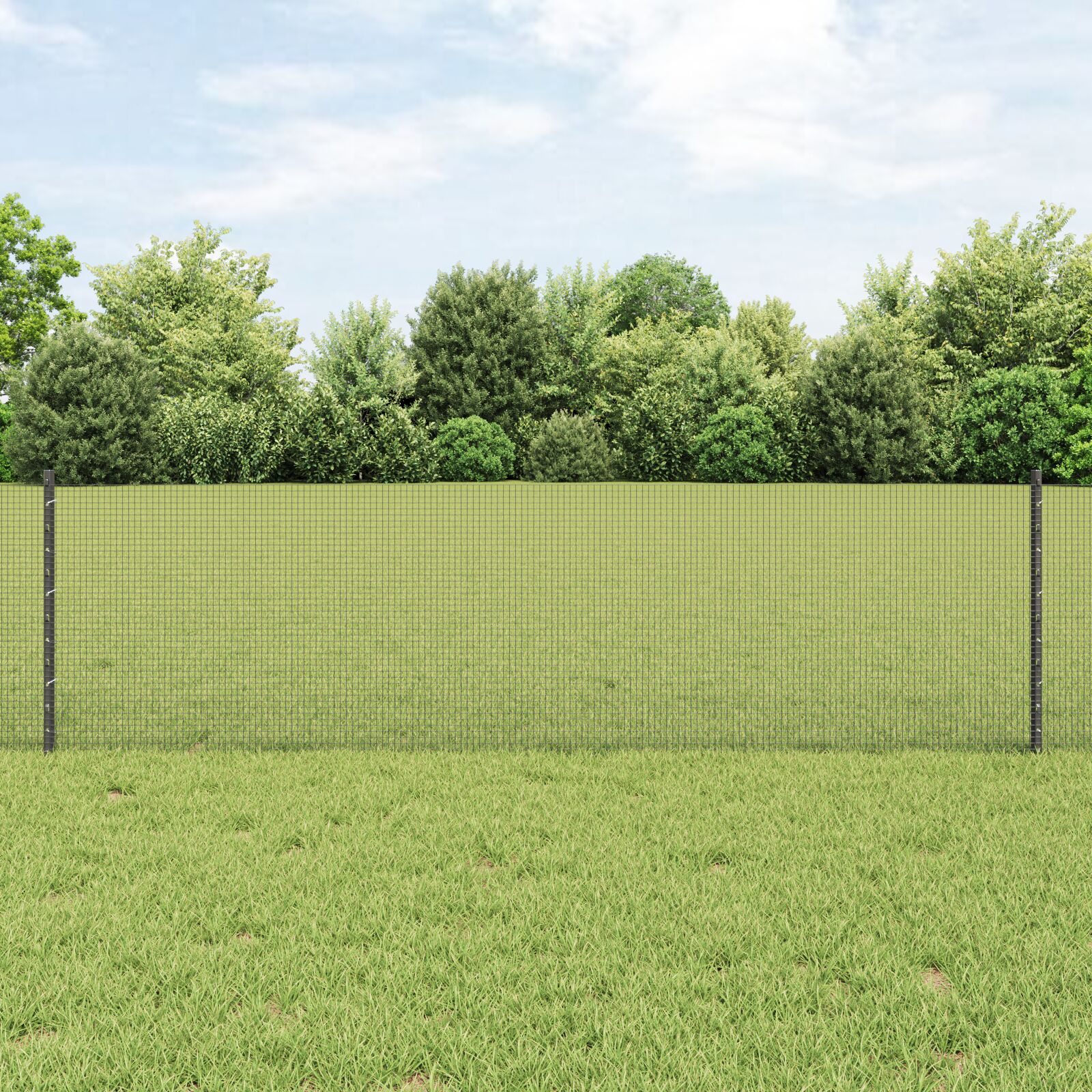 geschweister Drahtzaun mit 5 U-Pfosten Grau 0.6x10 m Stahl