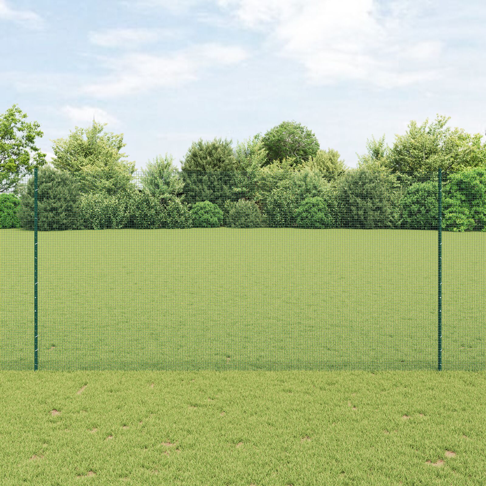 Schweißdrahtzaun mit 5 U-Pfosten Grün 1,6x10 m Stahl