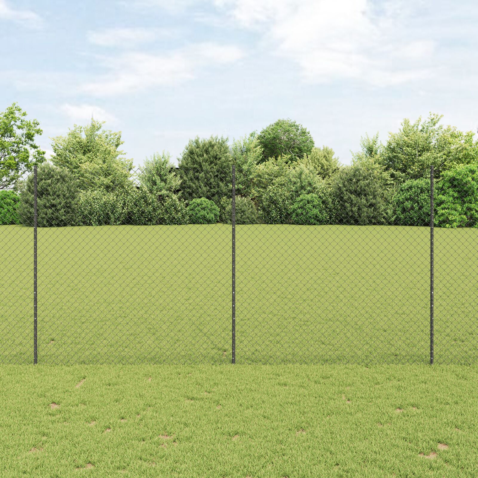 Drahtzaun mit 20 U-Posts grau 1,6x10 m Stahl