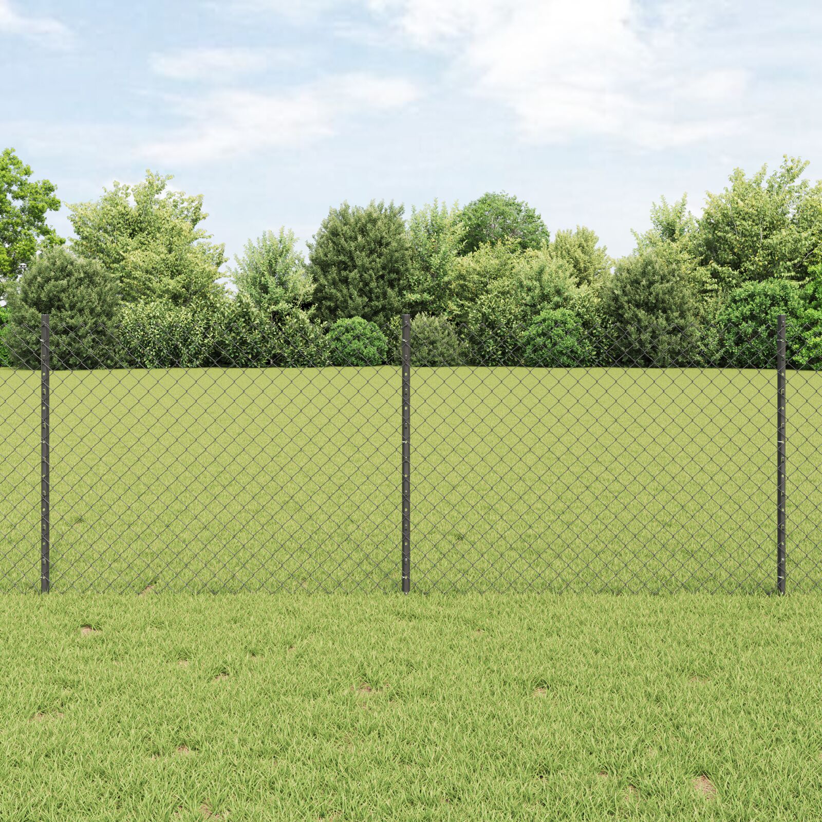 Drahtzaun mit 10 U-Pfosten Grau 0.8x10 m Stahl