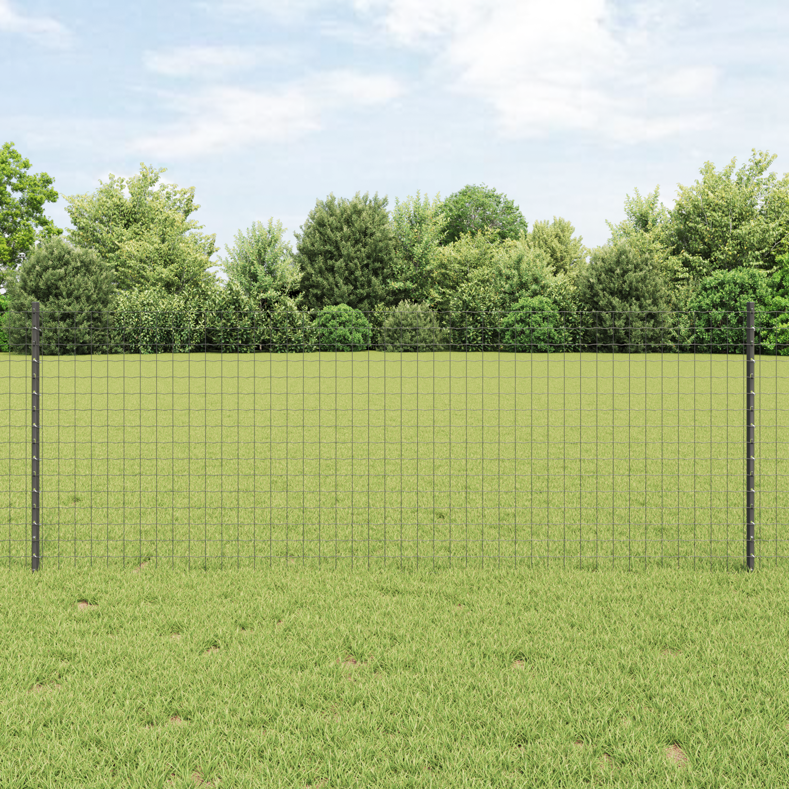 Eurozaun mit 11 U-Pfosten Grau 0,8x25 m Stahl