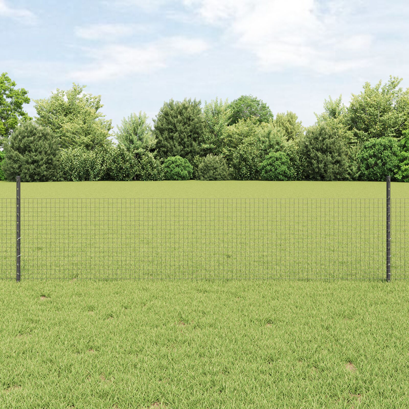 Hühnergitterzaunset Set aus 2 Grau Stahl, PVC 25 x 0,5 m