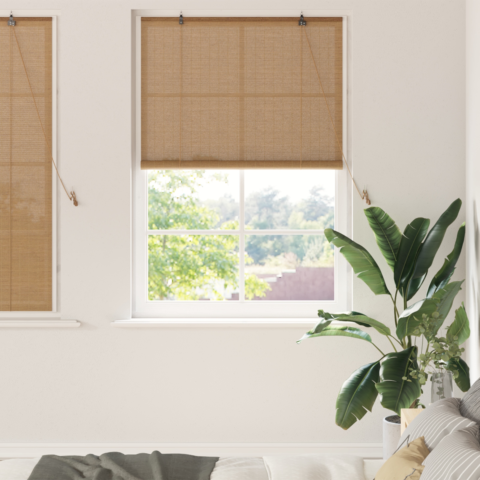 Fensterjalousien und -schattierungen Hellbraun 100 x 160 cm