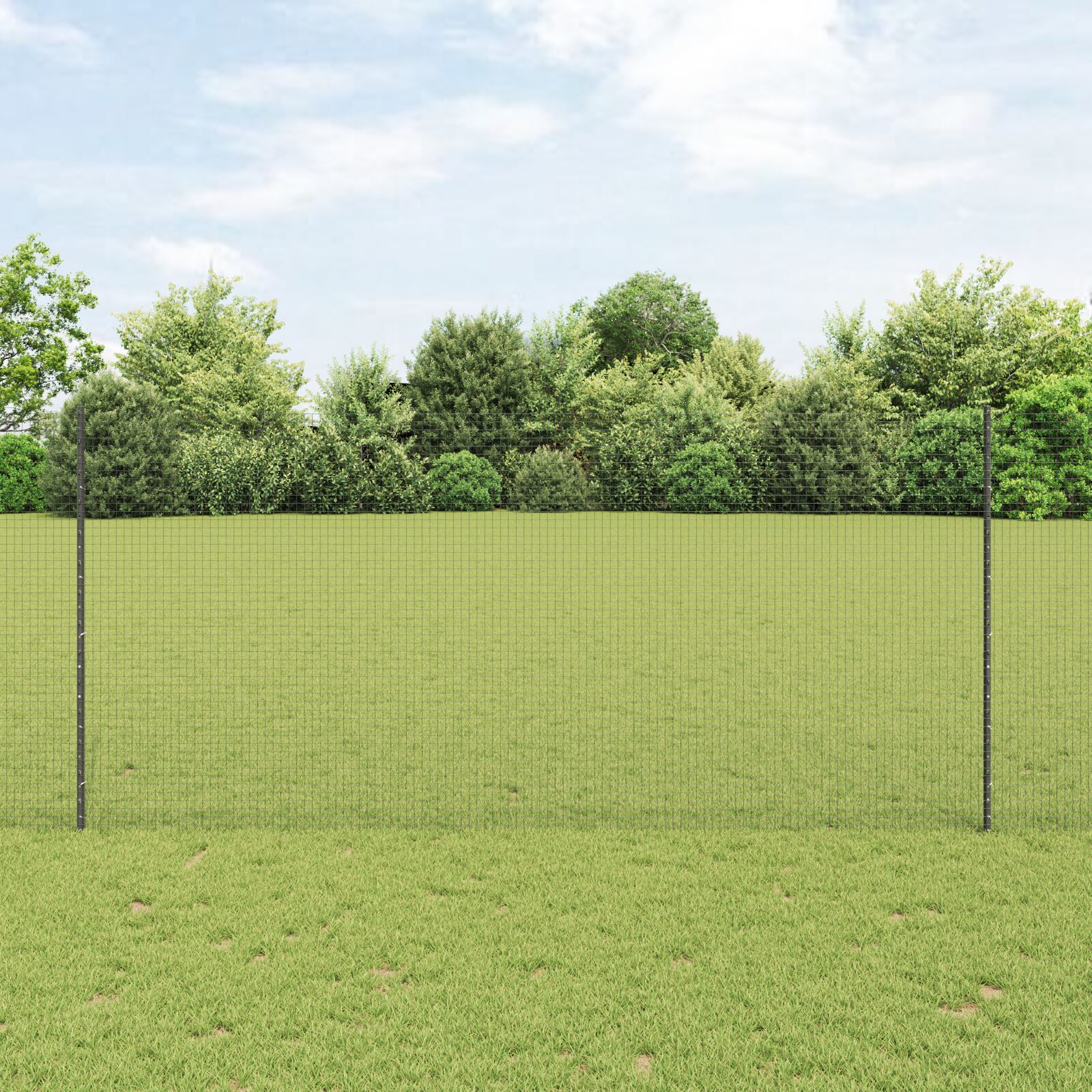 Schweißdrahtzaun mit 10 U-Posts Anthrazit 1.4x10 m Stahl
