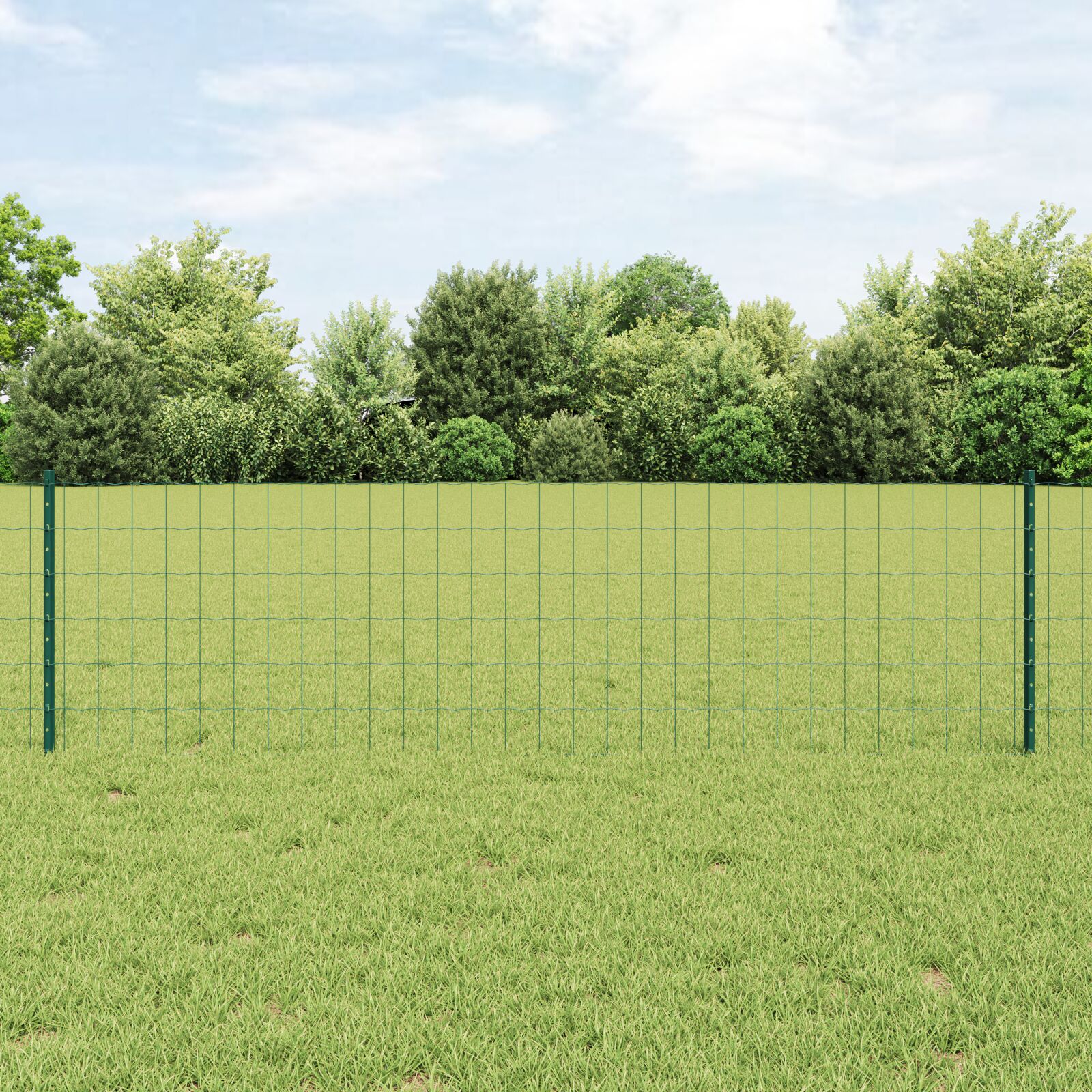 Gartenzaunrolle Set aus 2 Grün Stahl 25 x 0.6 m Langlebig