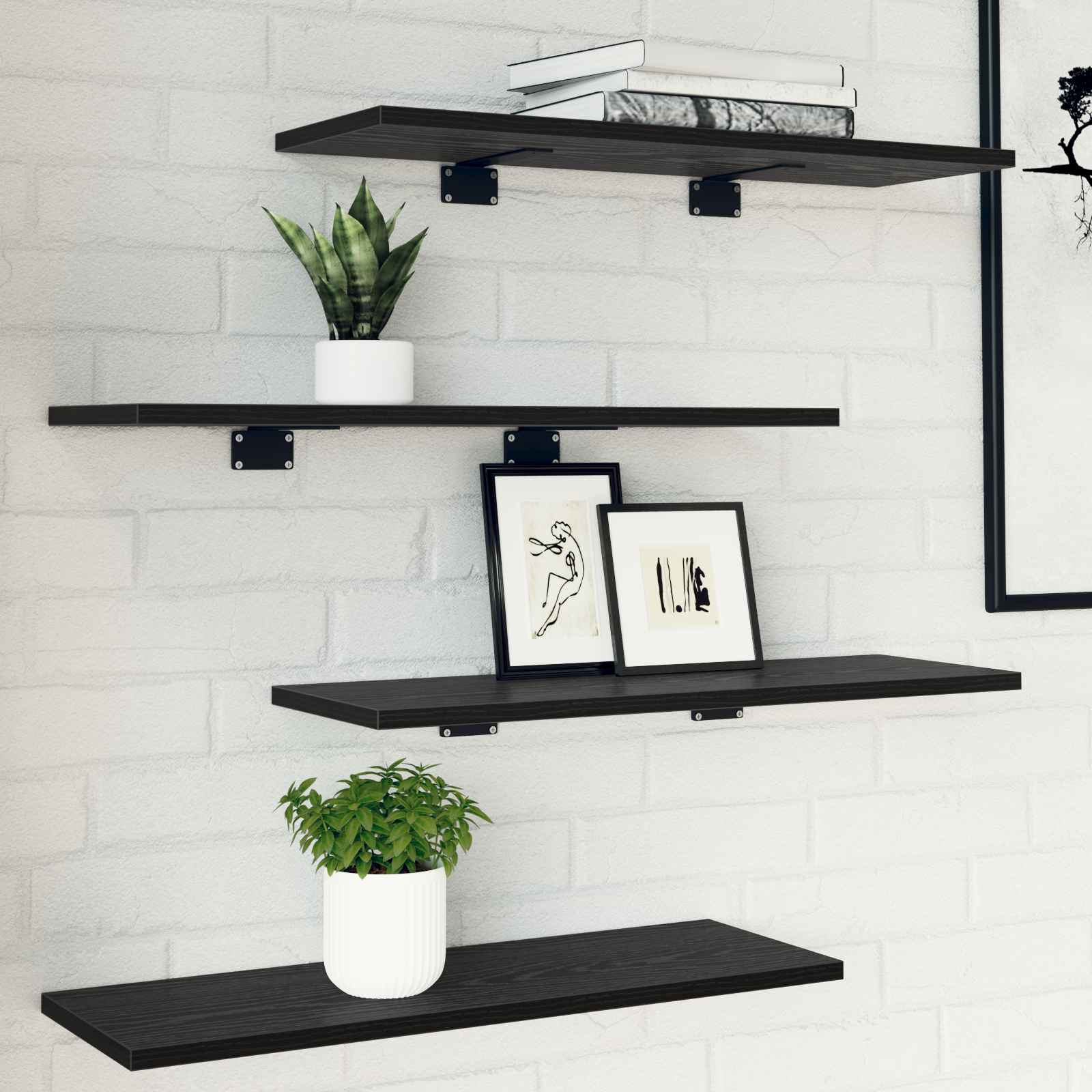 Wandregale Schwarze Eiche Verbundholz 60 x 20 x 1,5 cm Einfach Wandregale Schwarze Eiche Verbundholz 60 x 20 x 1,5 cm Einfach