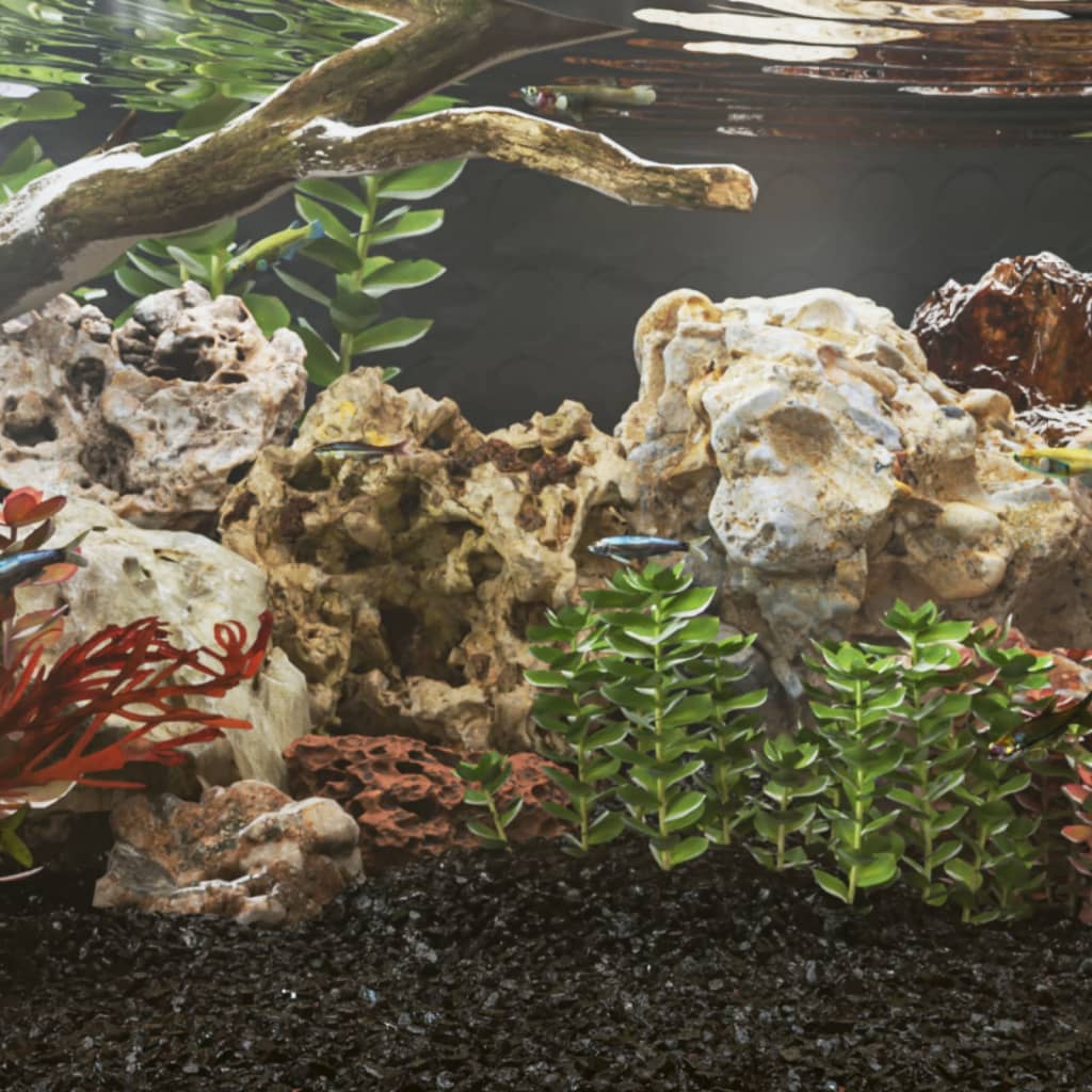 Aquaristik alles für deine Fische